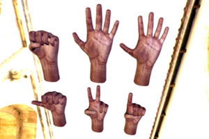 Rigged and Animated 3d Hands