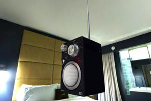 Radio rigged and animated