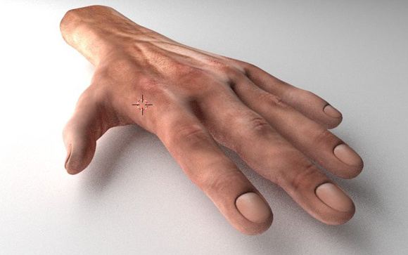 Rigged and Animated 3d Hands