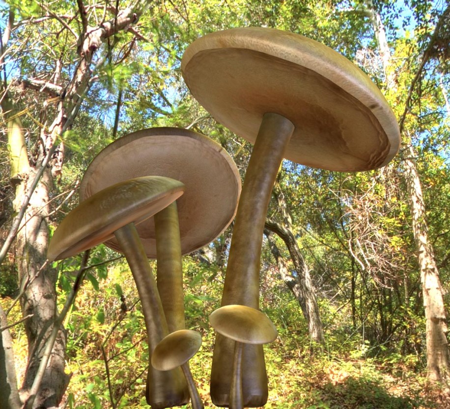 mushrooms
