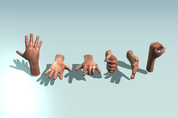 Rigged and Animated 3d Hands | 3DHaupt