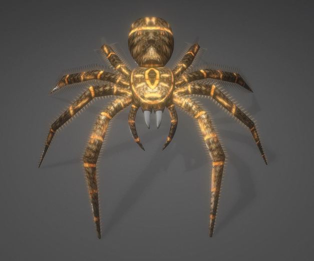 3d-model-animals-insect-spider-game-ready-low-poly-rigged-10