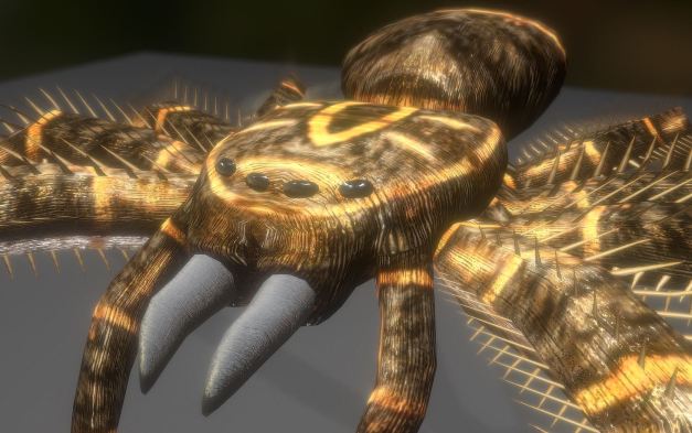 3d-model-animals-insect-spider-game-ready-low-poly-rigged-4