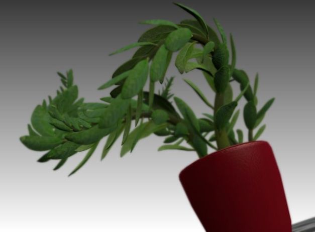 3d-model-indoor-plant-rigged-low-poly-jpg-11