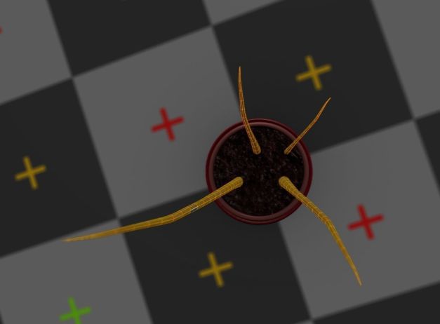 3d-model-indoor-plant-rigged-low-poly-jpg-16