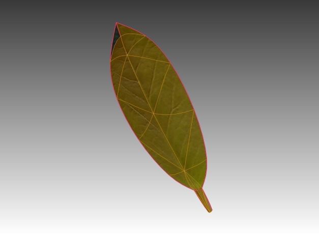3d-model-indoor-plant-rigged-low-poly-jpg-18