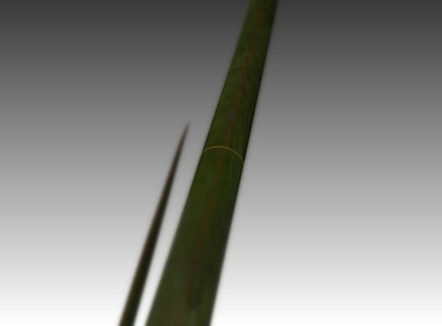 3d-model-indoor-plant-rigged-low-poly-jpg-20