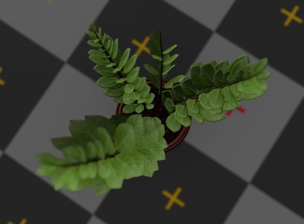 3d-model-indoor-plant-rigged-low-poly-jpg-23