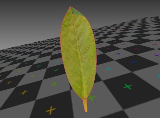 3d-model-indoor-plant-rigged-low-poly-jpg-25