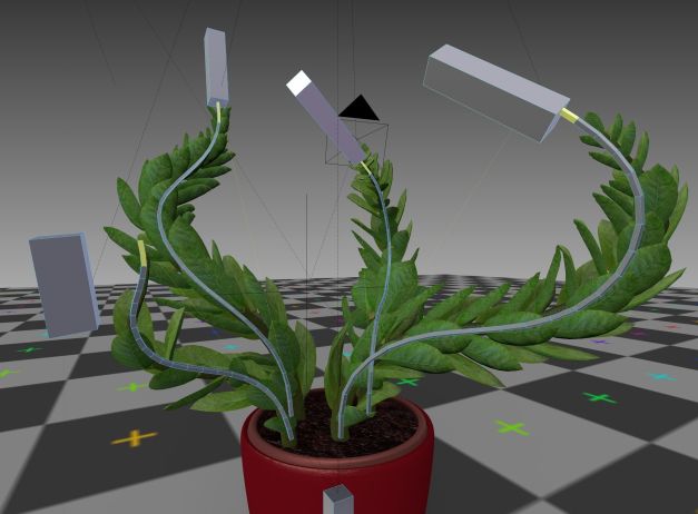 3d-model-indoor-plant-rigged-low-poly-jpg-26