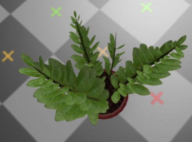 3d-model-indoor-plant-rigged-low-poly-jpg-4