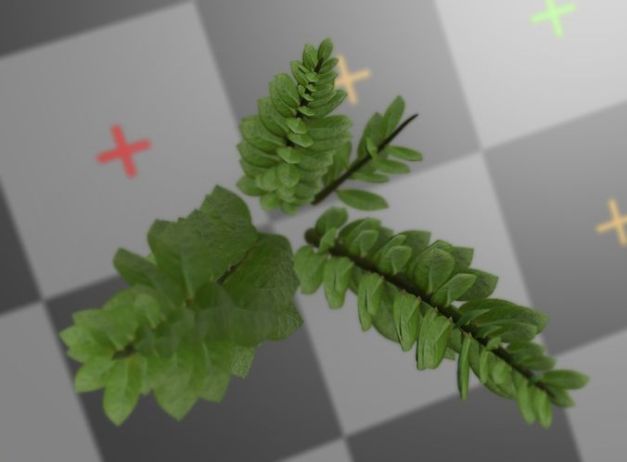 3d-model-indoor-plant-rigged-low-poly-jpg-8