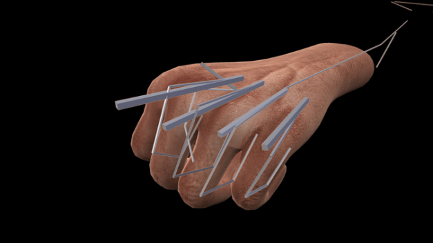Animated 3d Hands