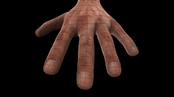 3d-model-rigged-hands-3d-model-low-poly-animated-low-poly-anatomy-7