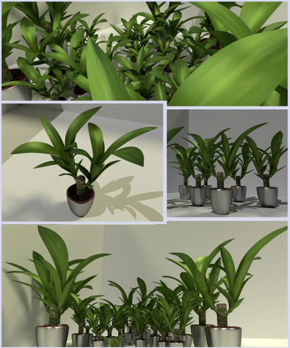 Here you can download some of my 3D-Plants | 3DHaupt