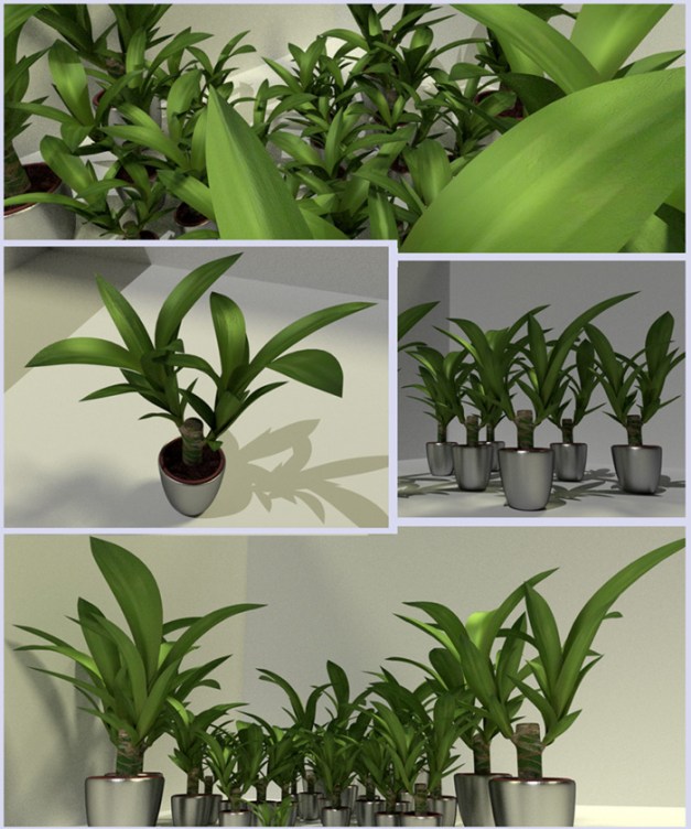 3d indoor plant