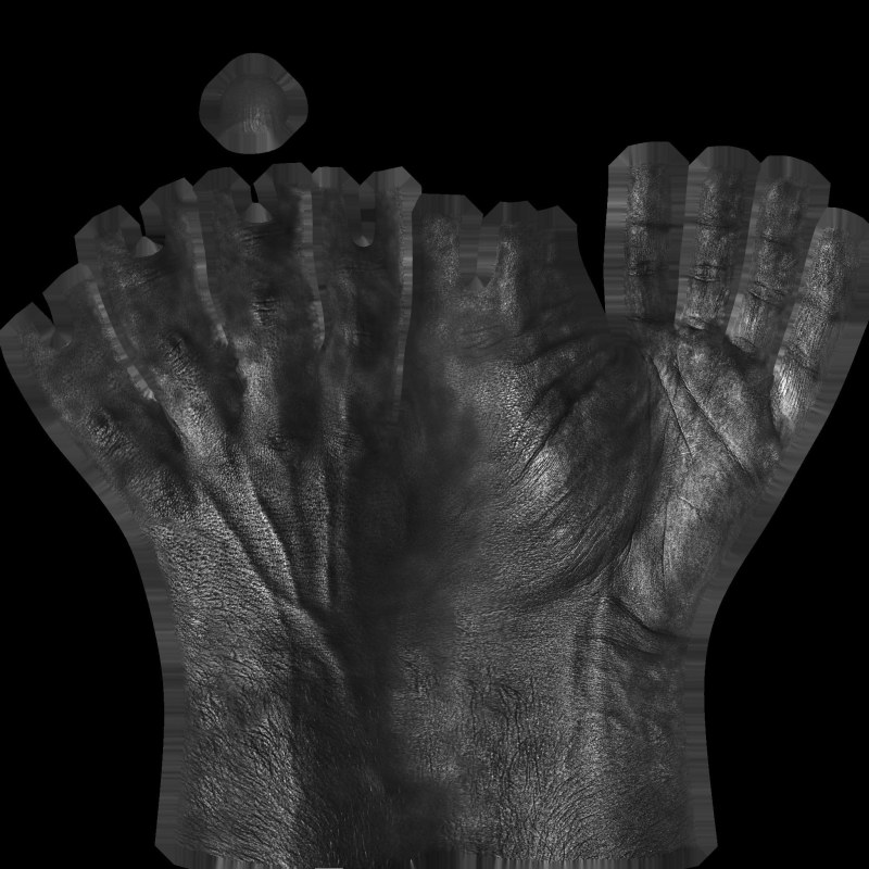 Hand texture spec map